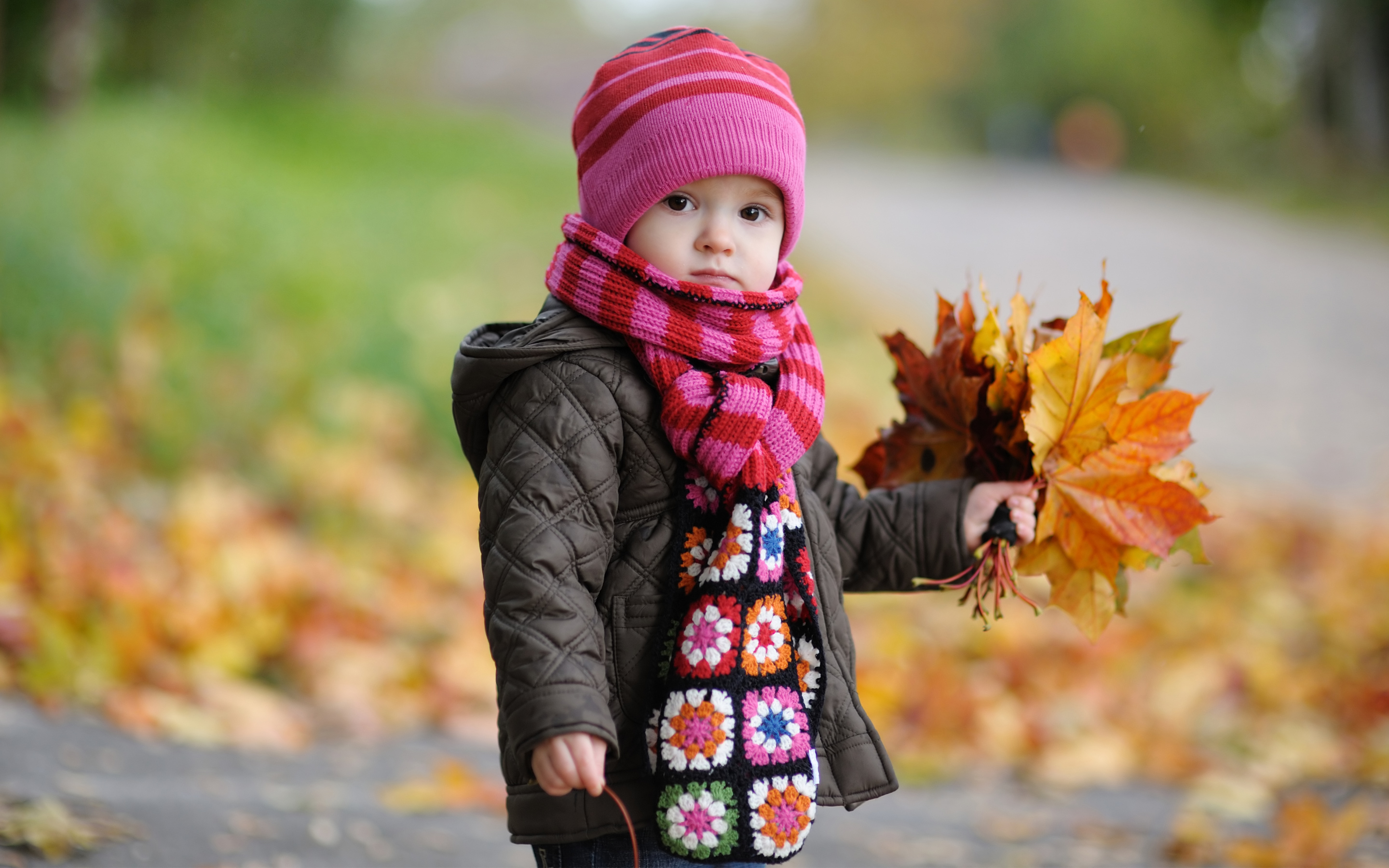 Cute Baby in Autumn1165110955 - Cute Baby in Autumn - Sleeping, Leaves, Cute, Baby, Autumn